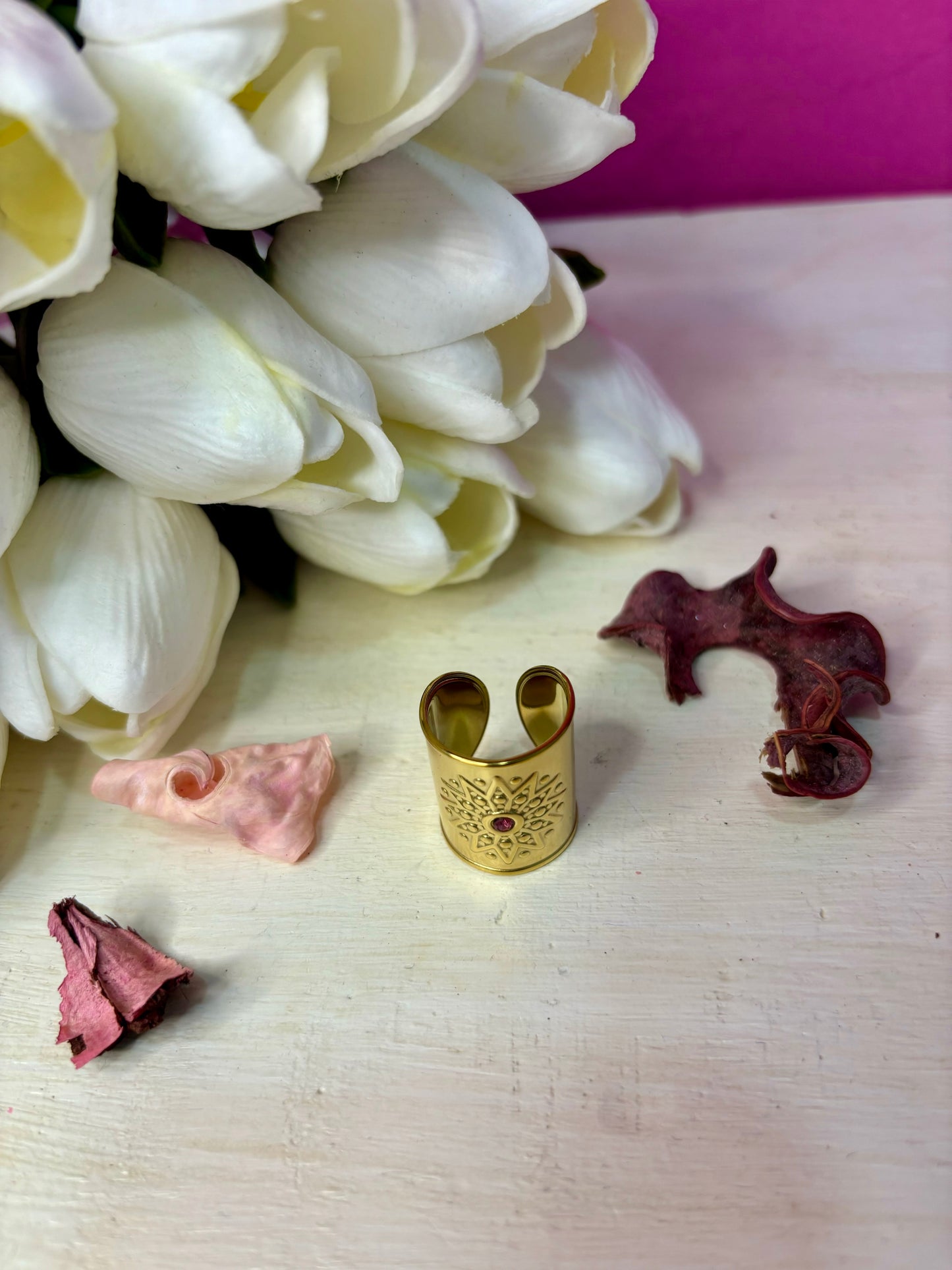Anillo Abierto